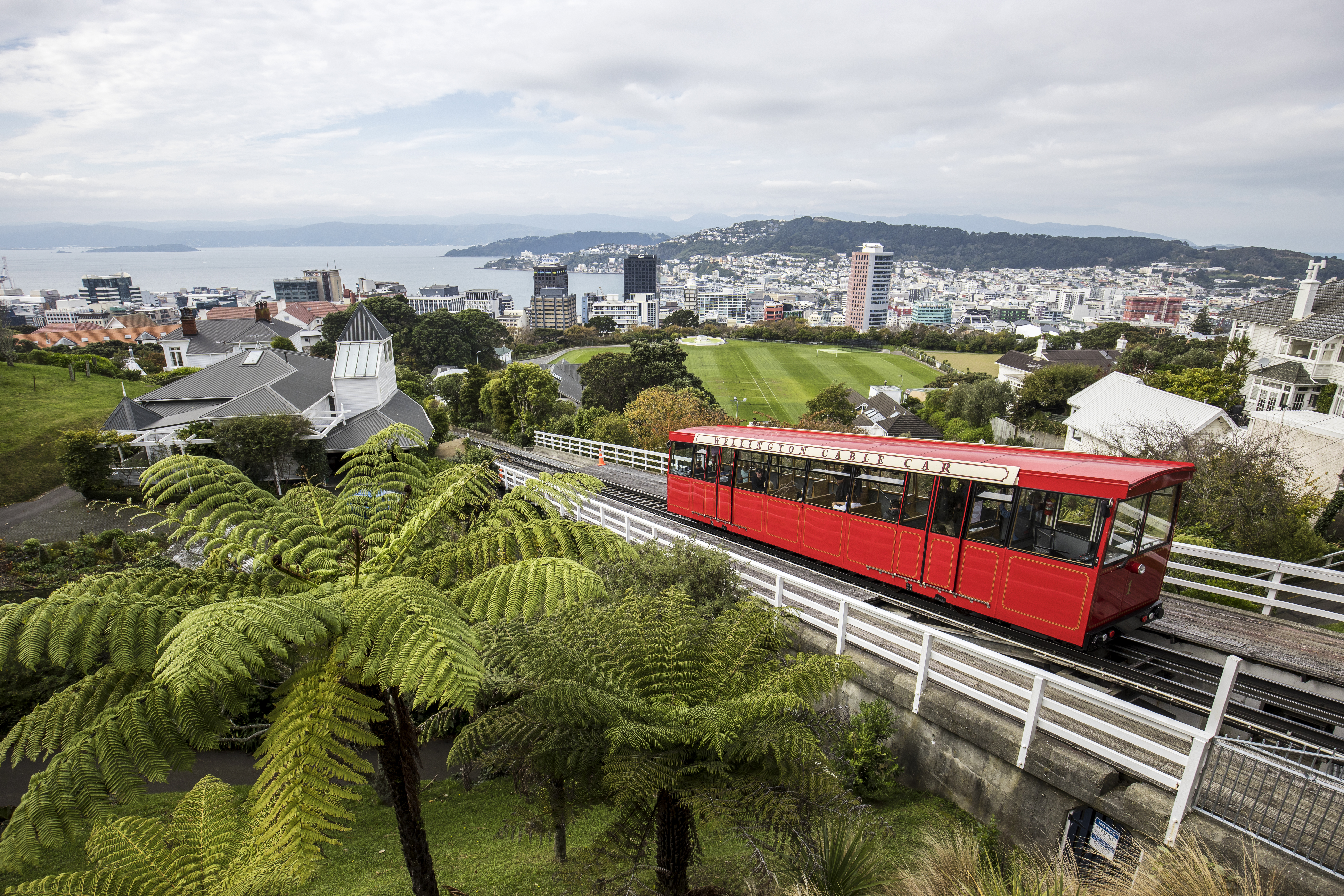 Wellington & Wairarapa
